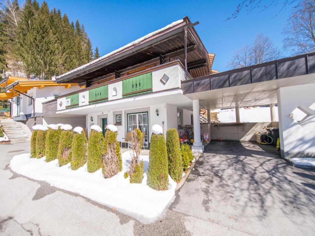 Schattbergblick 萨尔巴赫 外观 照片