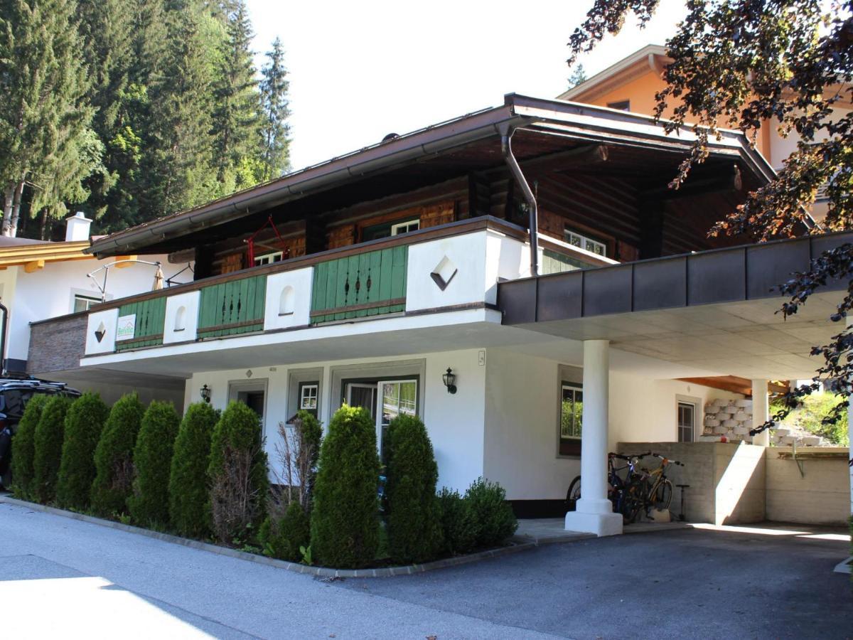 Schattbergblick 萨尔巴赫 外观 照片